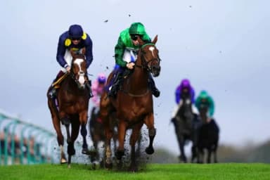 Tuesday's Horse Racing Tips: Brighton, April 29th
