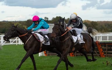Today's Horse Racing Tips: Friday November 19th