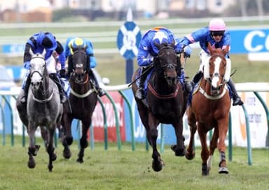 Today's Horse Racing Tips: Monday November 29th