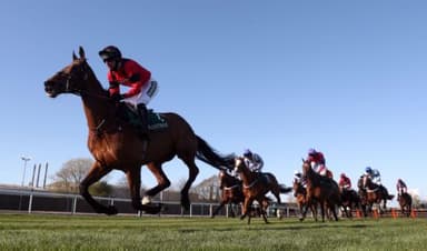 Today's Horse Racing Tips: Sunday November 28th
