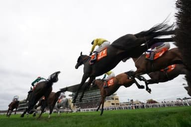 Today's Horse Racing Tips: Sunday November 14th
