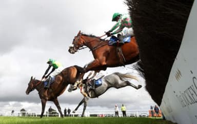 Today's Horse Racing Tips: Wednesday November 10th 2021