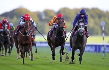 Today's Horse Racing Tips: Wednesday December 1st