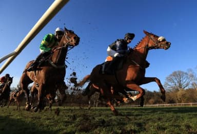 Today's Horse Racing Tips: Thursday November 11th 2021