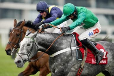 Today's Horse Racing Tips: Friday November 26th