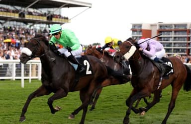 Saturday's Horse Racing Tips: November 27th