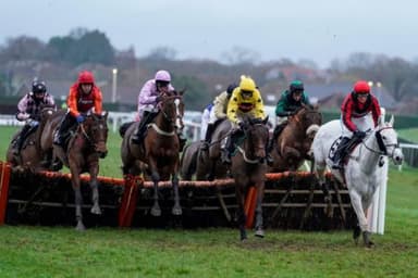 Today's Horse Racing Tips: Monday November 15th