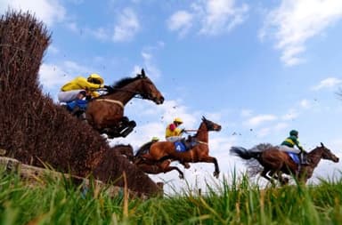Today's Horse Racing Tips: Thursday November 25th