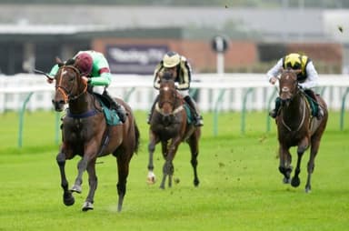 Today's Horse Racing Tips: Wednesday November 17th