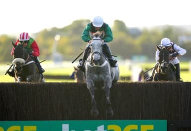 Today's Horse Racing Tips - Wednesday November 24th