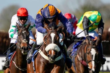 Today's Horse Racing Tips: Thursday November 18th